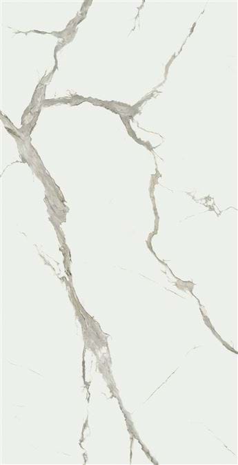 STATUARIO SUPERIOR SLAB B